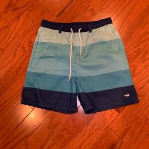 Southern Marsh Men's Striped Swim Trunks in Navy and Aqua